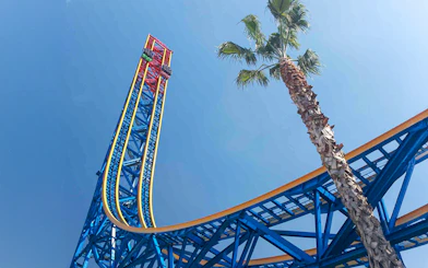 Roller coaster track and palm tree at Six Flags Magic Mountain, California.