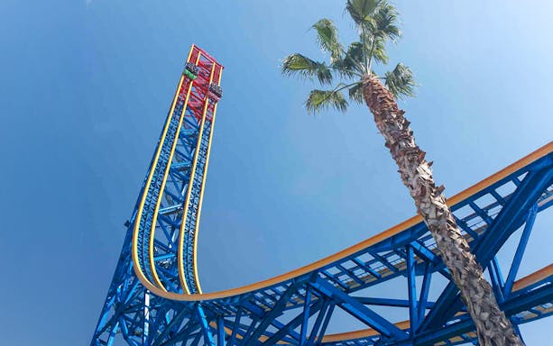 Roller coaster track and palm tree at Six Flags Magic Mountain, California.