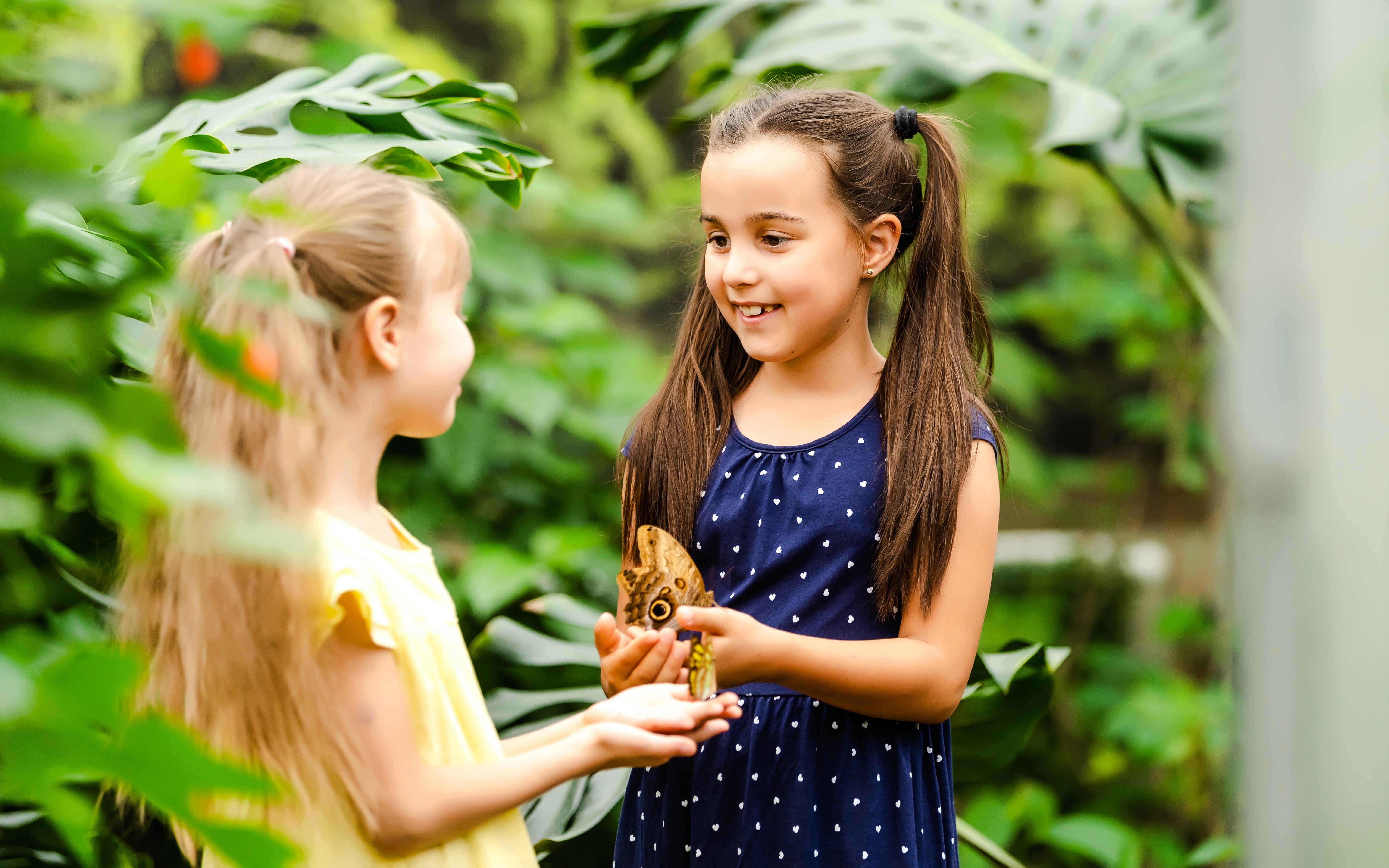 Children observing butterflies at The Butterfly Garden.
