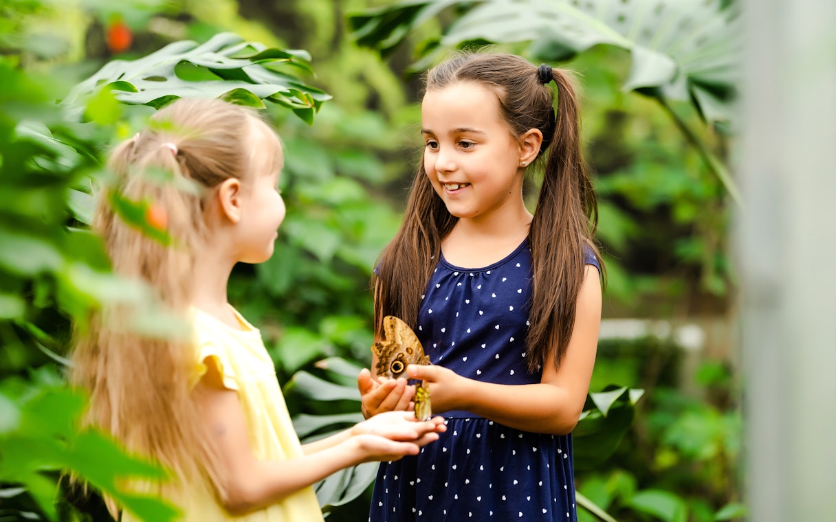 Children observing butterflies at The Butterfly Garden.