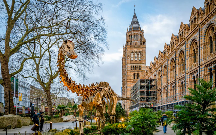 Natural History Museum Reserved Entry Ticket & Audio Tour