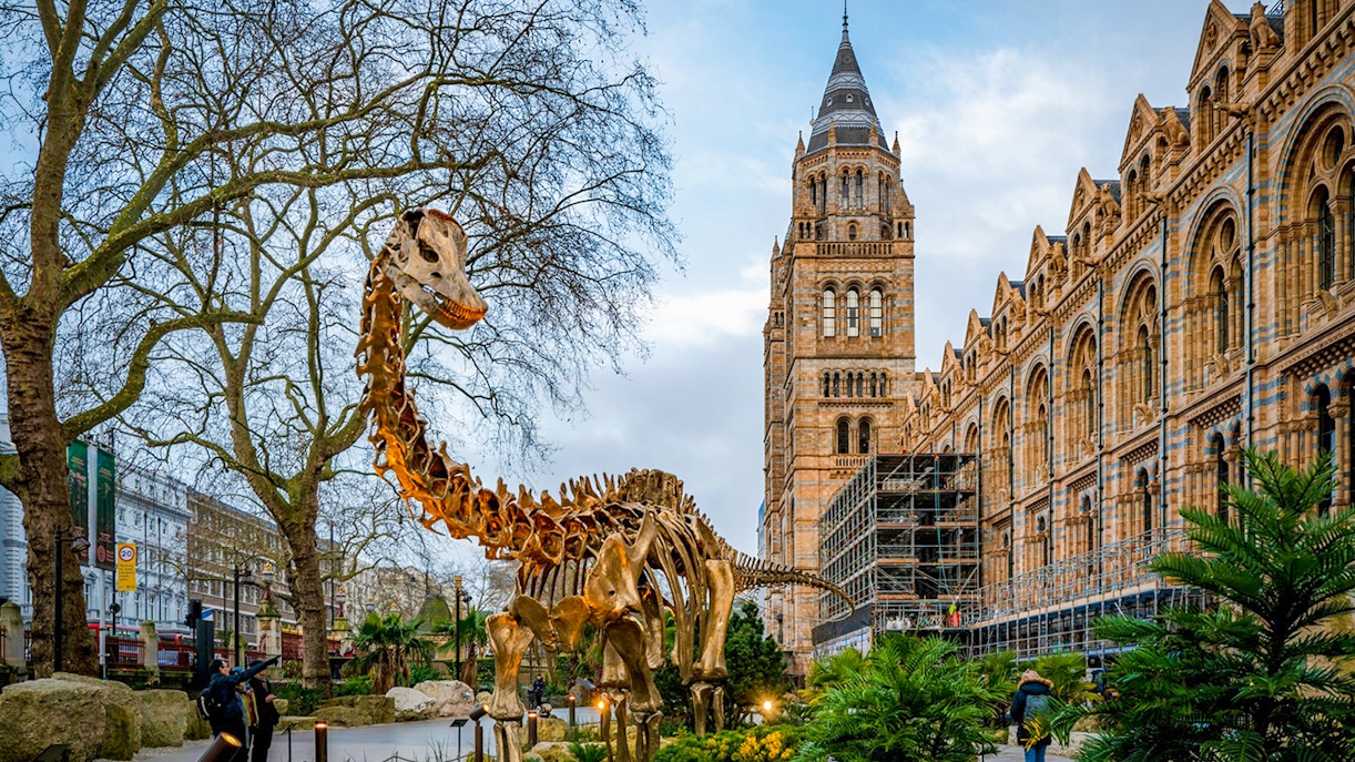 Natural History Museum London facade with intricate architecture and arched windows.
