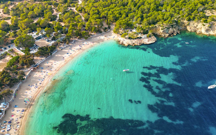 Aerial view of Cala Bassa Beach with turquoise waters and surrounding greenery in Ibiza, Spain.