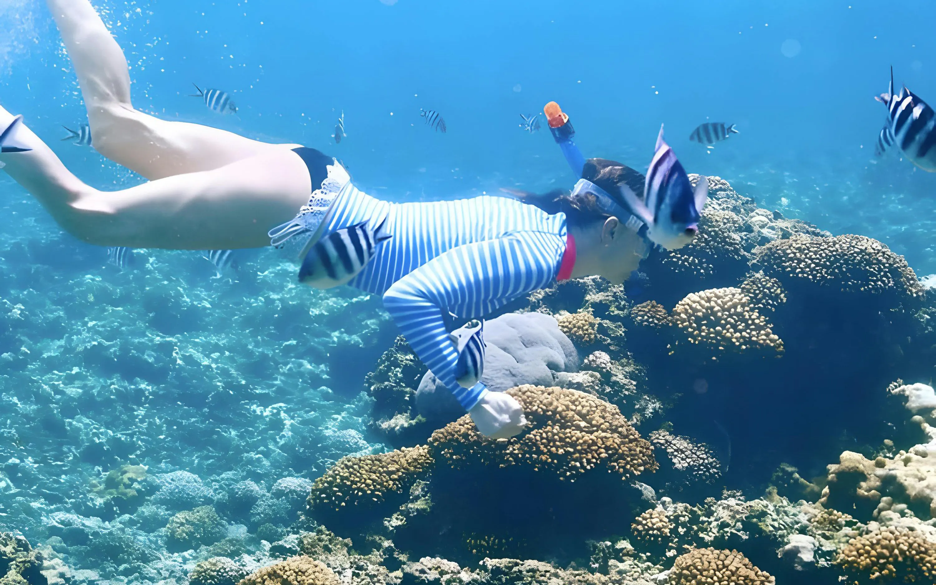 Snorkeler exploring coral reef with fish in clear blue water, Rosario Island, Cartagena, Colombia.