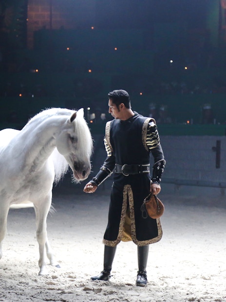 Knight interacting with a white horse at Medieval Times Dinner and Show.