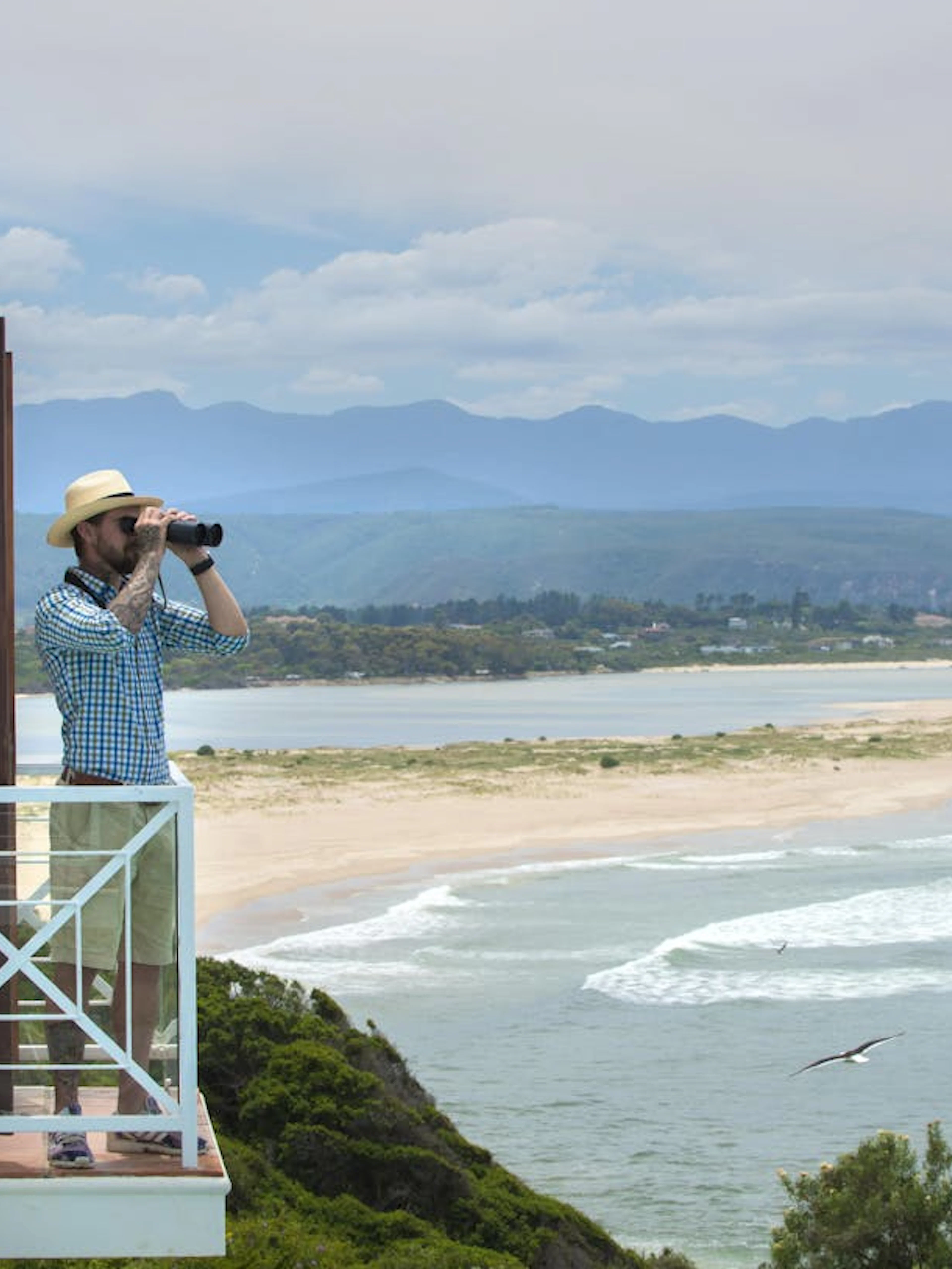 whale watching boat trip and penguin colony visit with hotel transfers in hermanus-1