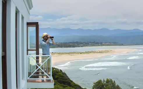 whale watching boat trip and penguin colony visit with hotel transfers in hermanus-1