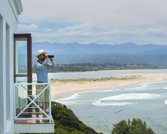 Whale Watching Boat Trip and Penguin Colony Visit with Hotel Transfers in Hermanus