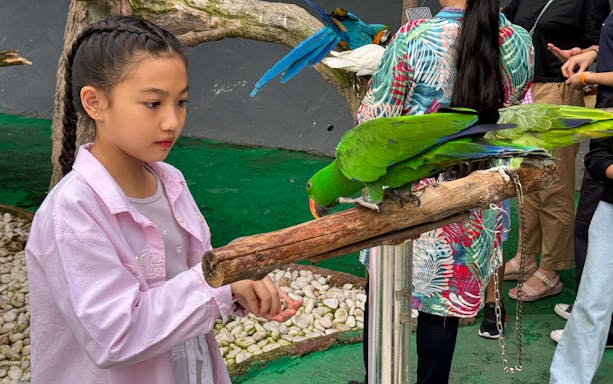 Child interacting with a parrot at 99 Wonderland Park.