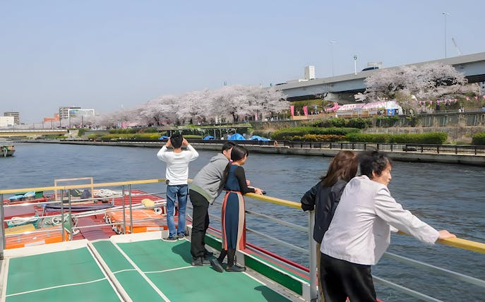 People enjoying cherry blossoms from a boat on the Asakusa Yakatabune Cruise in Tokyo.