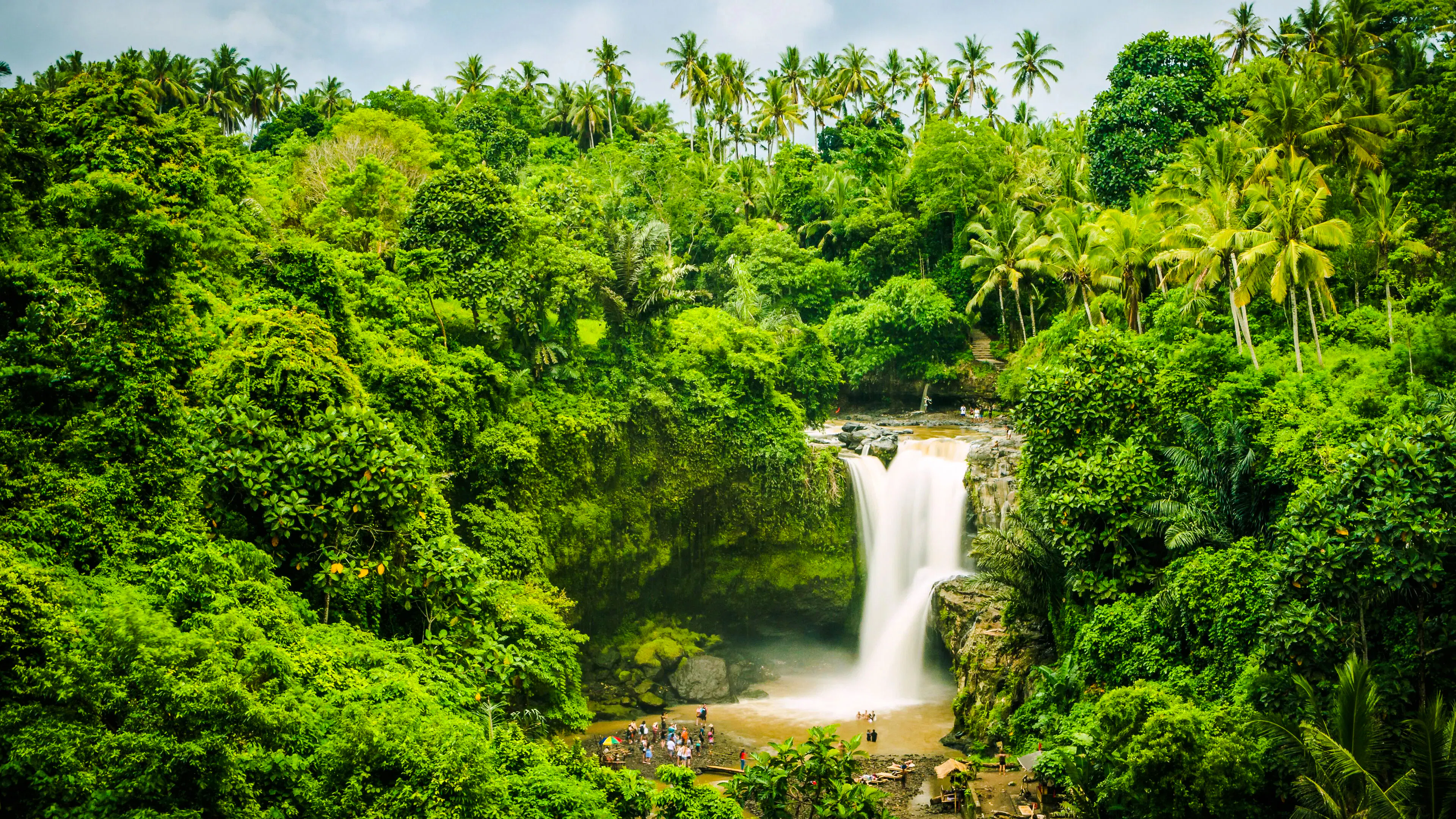 Ubud Full-Day Private Tour with Entrance Tickets