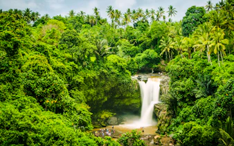 Tegenungan Waterfall surrounded by lush greenery, part of Bali One Day Ubud Private Tour.