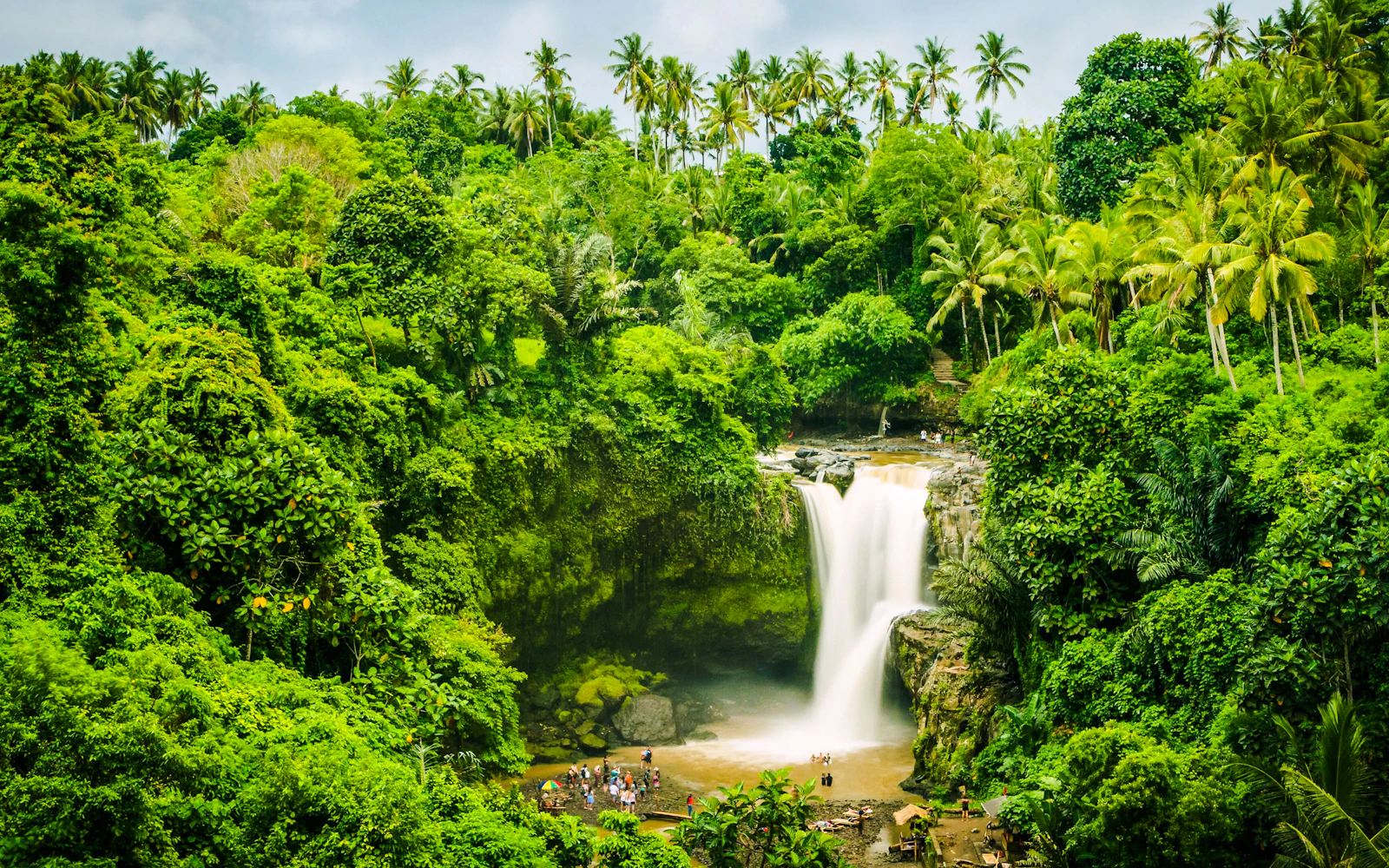 Ubud Full-Day Private Tour with Entrance Tickets