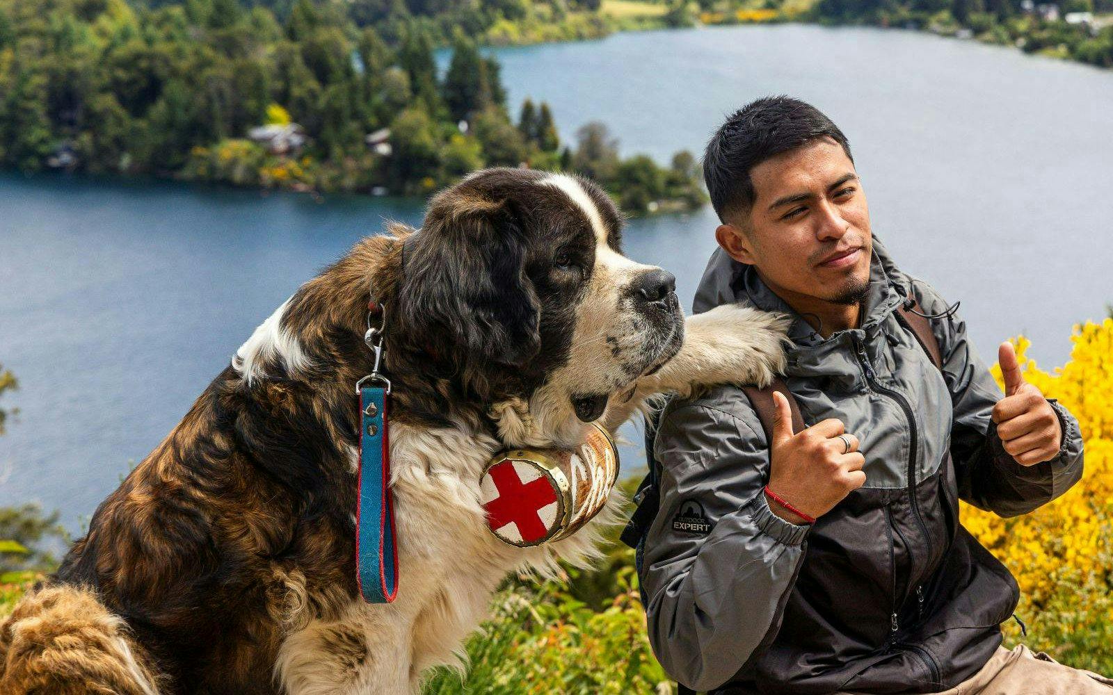 Traveler with St. Bernard dog in Bariloche mountain region, Argentina.