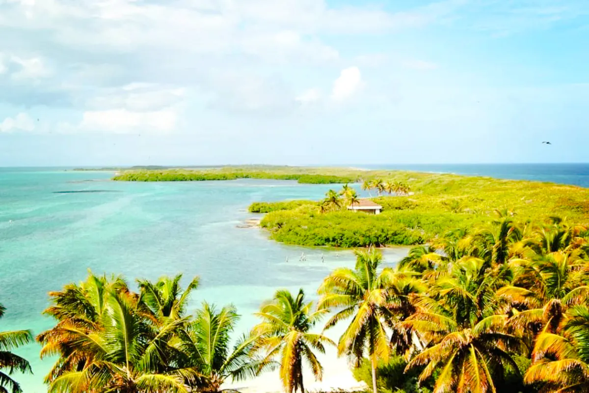 Tropical coastline with palm trees and turquoise waters in Cancun.
