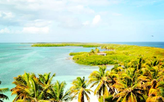 Tropical coastline with palm trees and turquoise waters in Cancun.