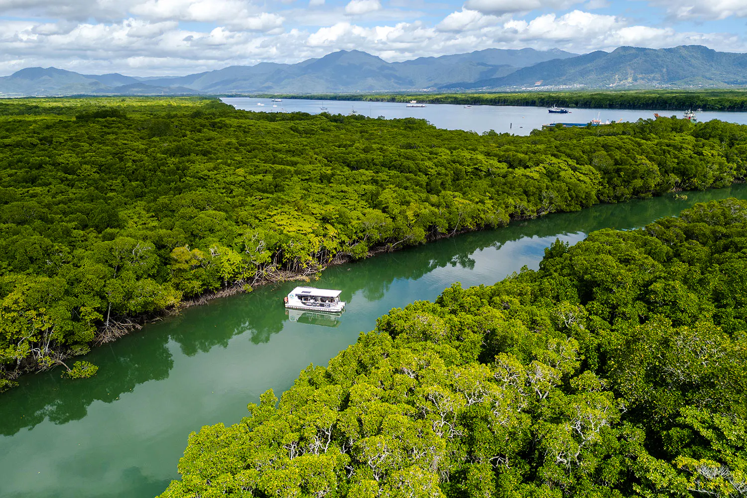 Cairns River Cruise