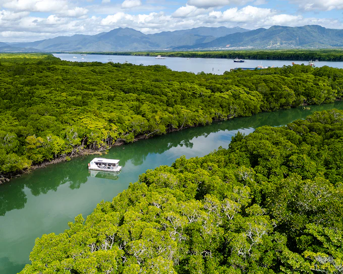 Cairns Trinity Inlet Sightseeing Cruise (Product 52371)