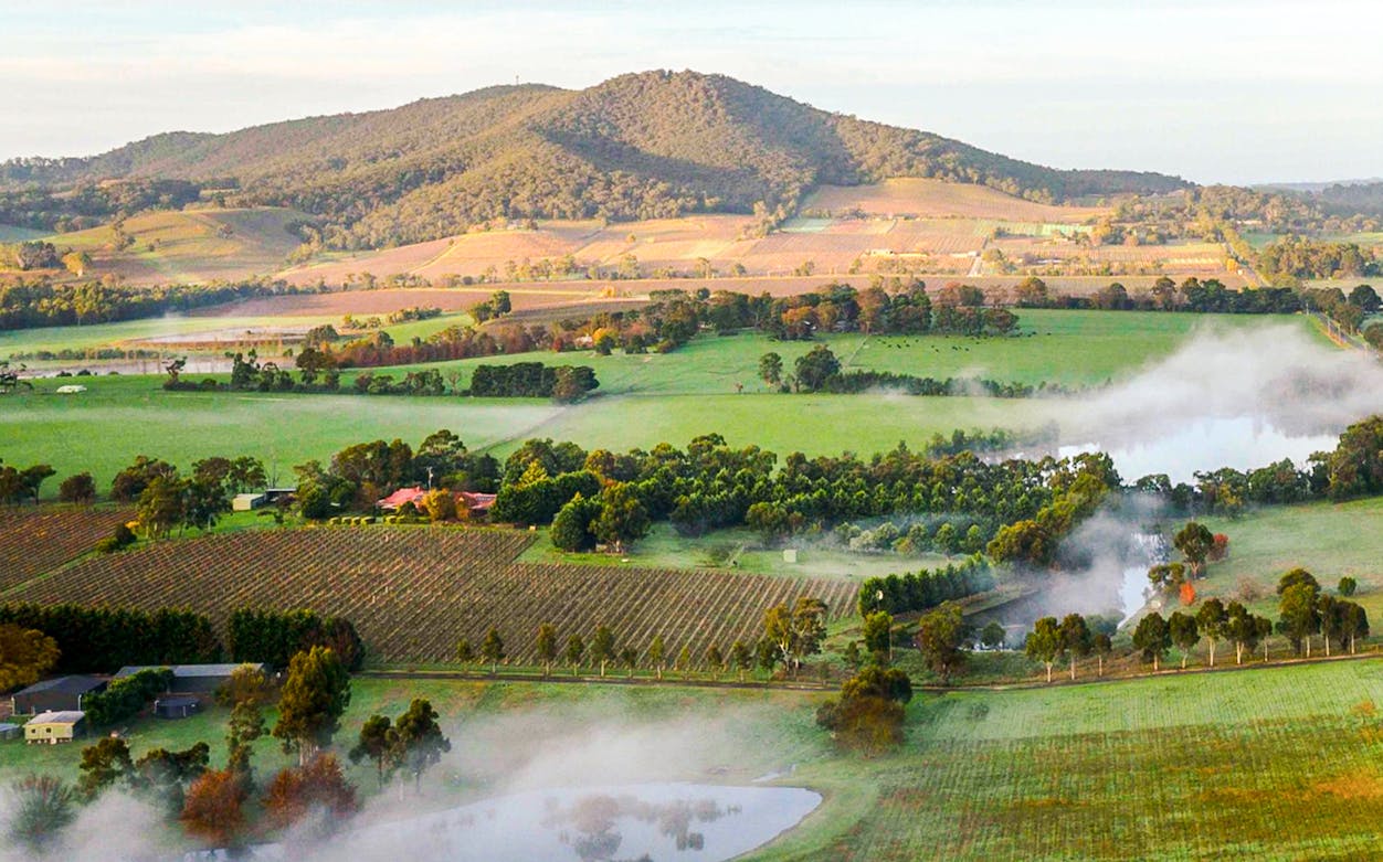 Yarra Valley vineyards and rolling hills with morning mist.