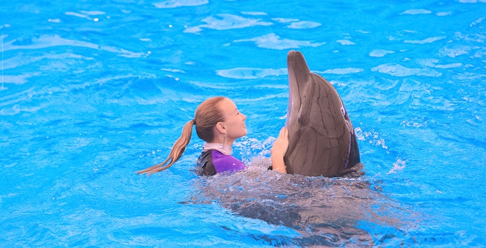 Dolphinarium Pattaya