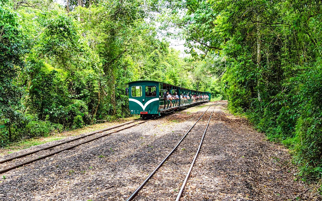Train through lush forest near Iguazu Falls, Argentina.