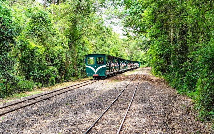 Train through lush forest near Iguazu Falls, Argentina.