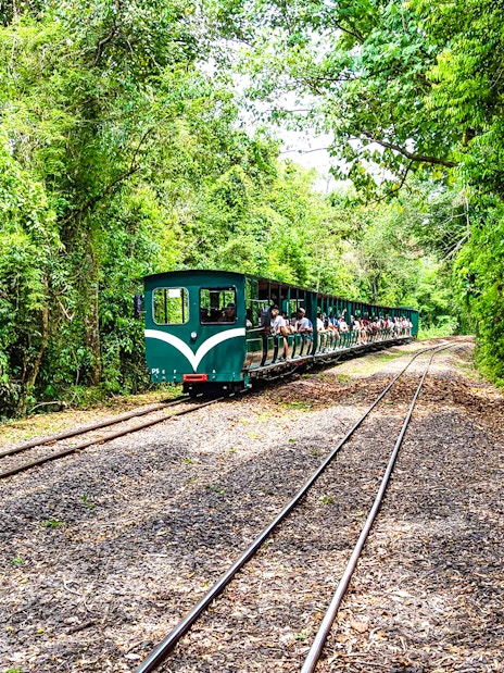 Train through lush forest near Iguazu Falls, Argentina.