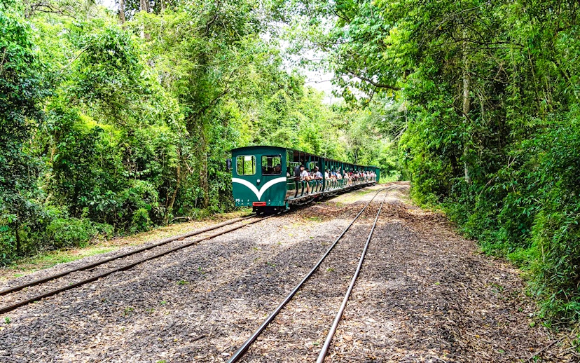 Train through lush forest near Iguazu Falls, Argentina.