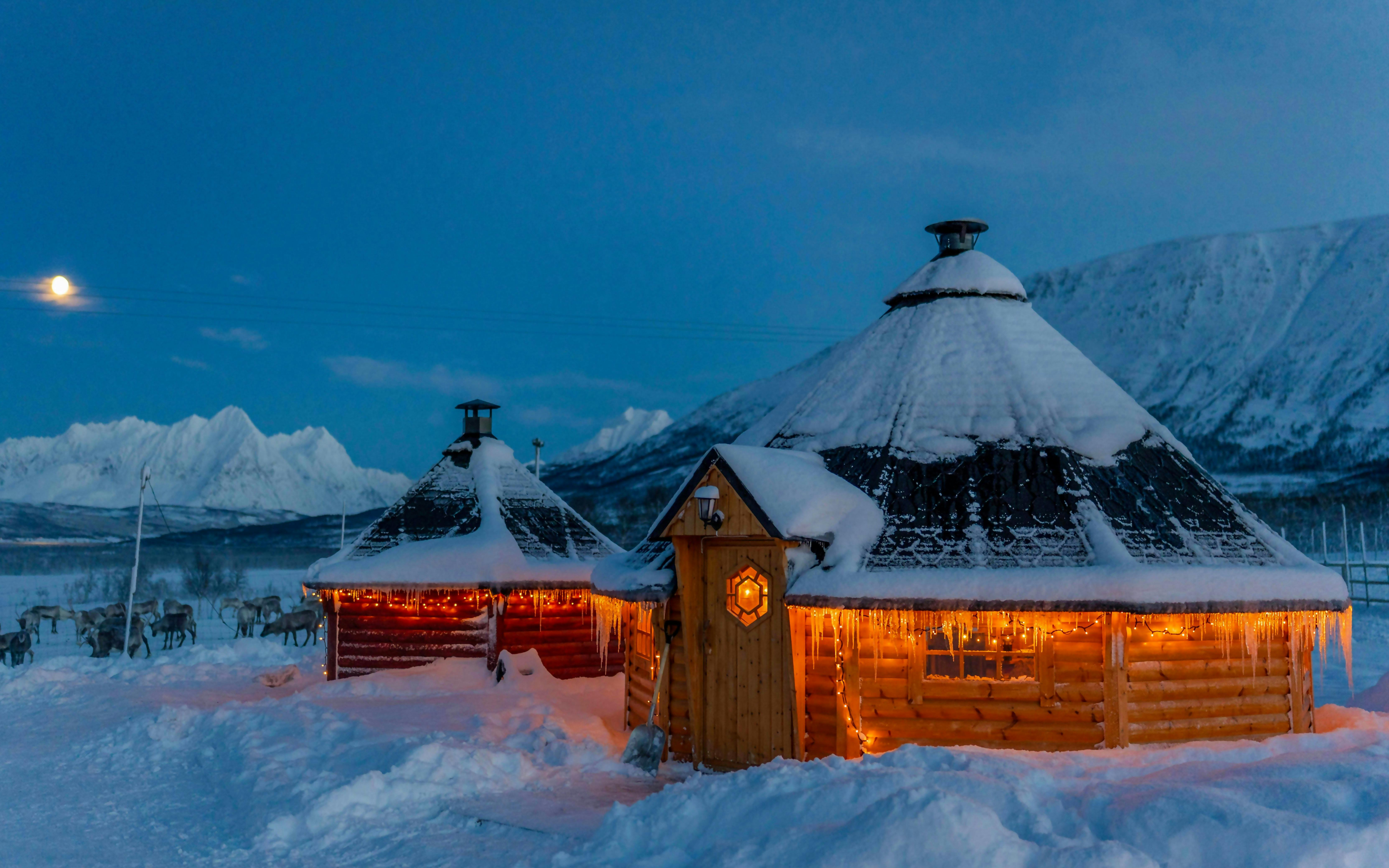 Wooden huts with lights in snowy Tromso landscape, reindeer grazing nearby.