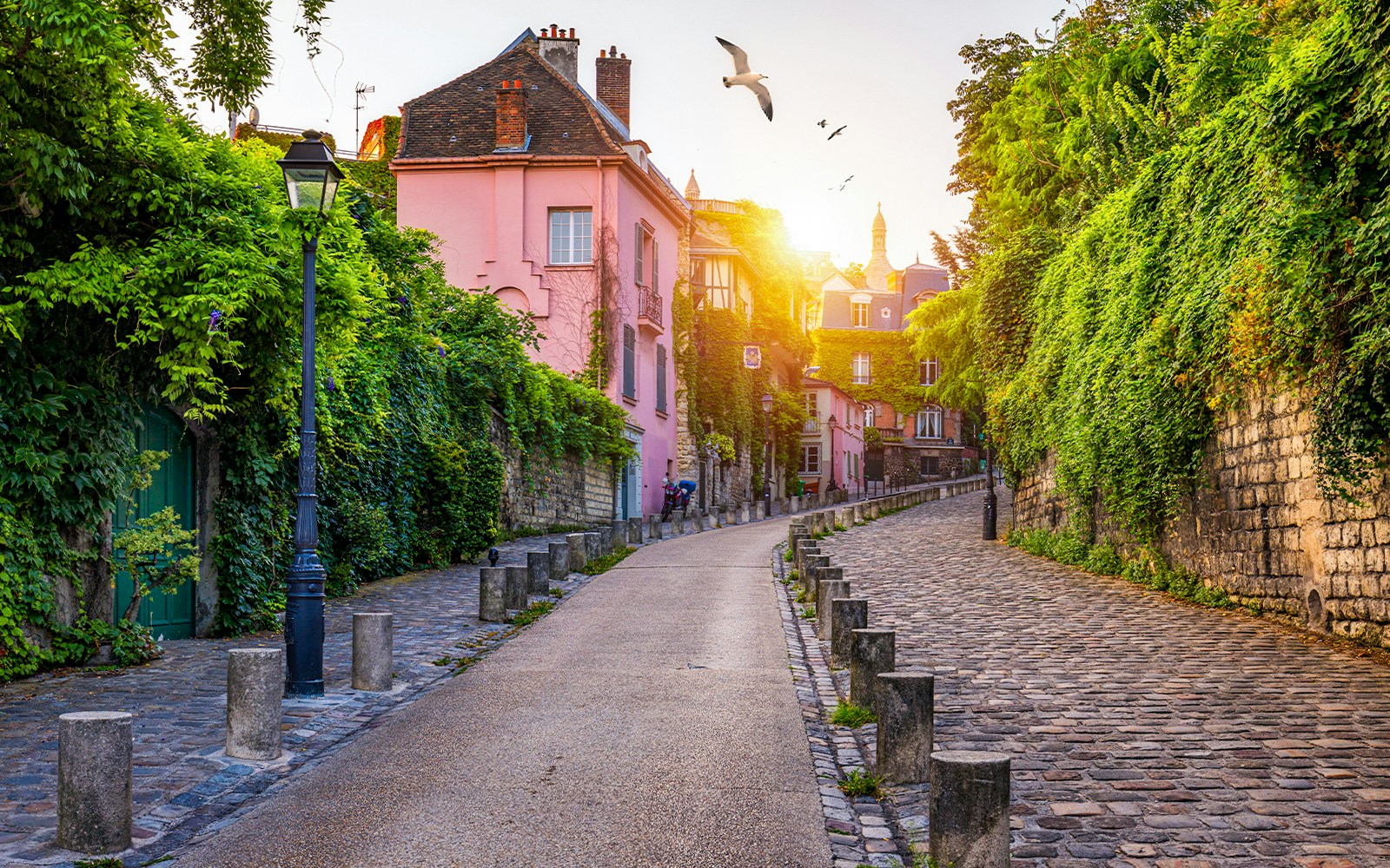 Montmartre street in Paris with pink buildings and greenery, part of a day trip from London.