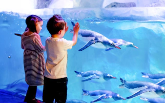 Children observing penguins swimming at SEA LIFE London Aquarium.