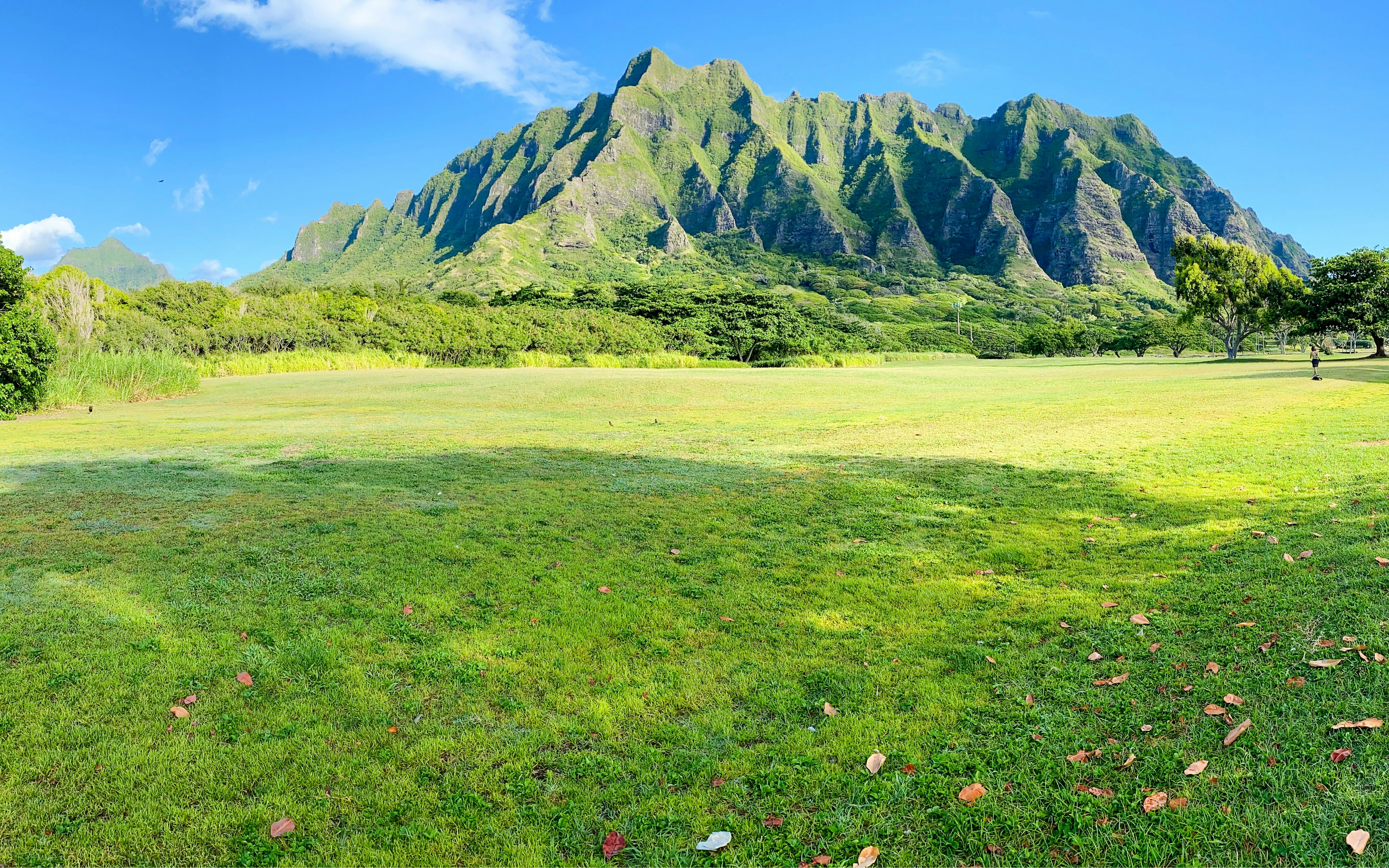 Kualoa Ranch landscape with lush green fields and mountain backdrop in Hawaii.