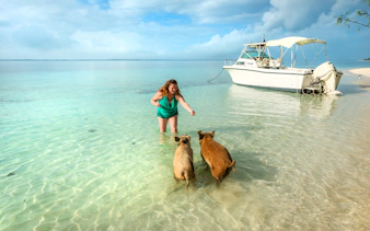 Woman feeding pigs in clear water near a boat at Rose Island, Nassau, Bahamas.