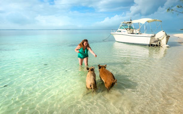 Woman feeding pigs in clear water near a boat at Rose Island, Nassau, Bahamas.