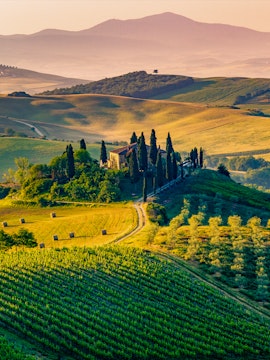 Rolling hills and vineyards in Tuscany, Italy, with a farmhouse and cypress trees.
