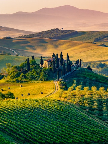 Rolling hills and vineyards in Tuscany, Italy, with a farmhouse and cypress trees.
