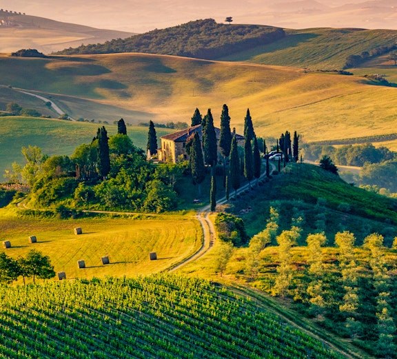 Rolling hills and vineyards in Tuscany, Italy, with a farmhouse and cypress trees.
