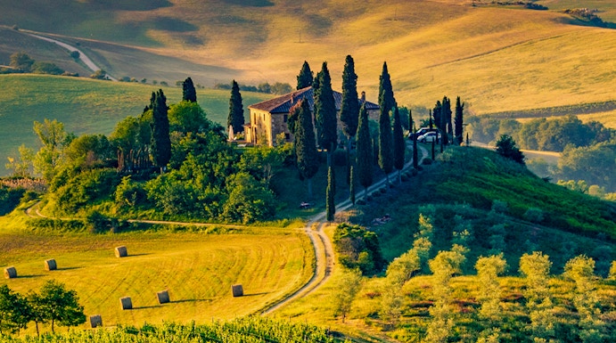 Rolling hills and vineyards in Tuscany, Italy, with a farmhouse and cypress trees.