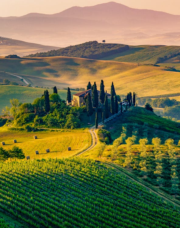 Rolling hills and vineyards in Tuscany, Italy, with a farmhouse and cypress trees.