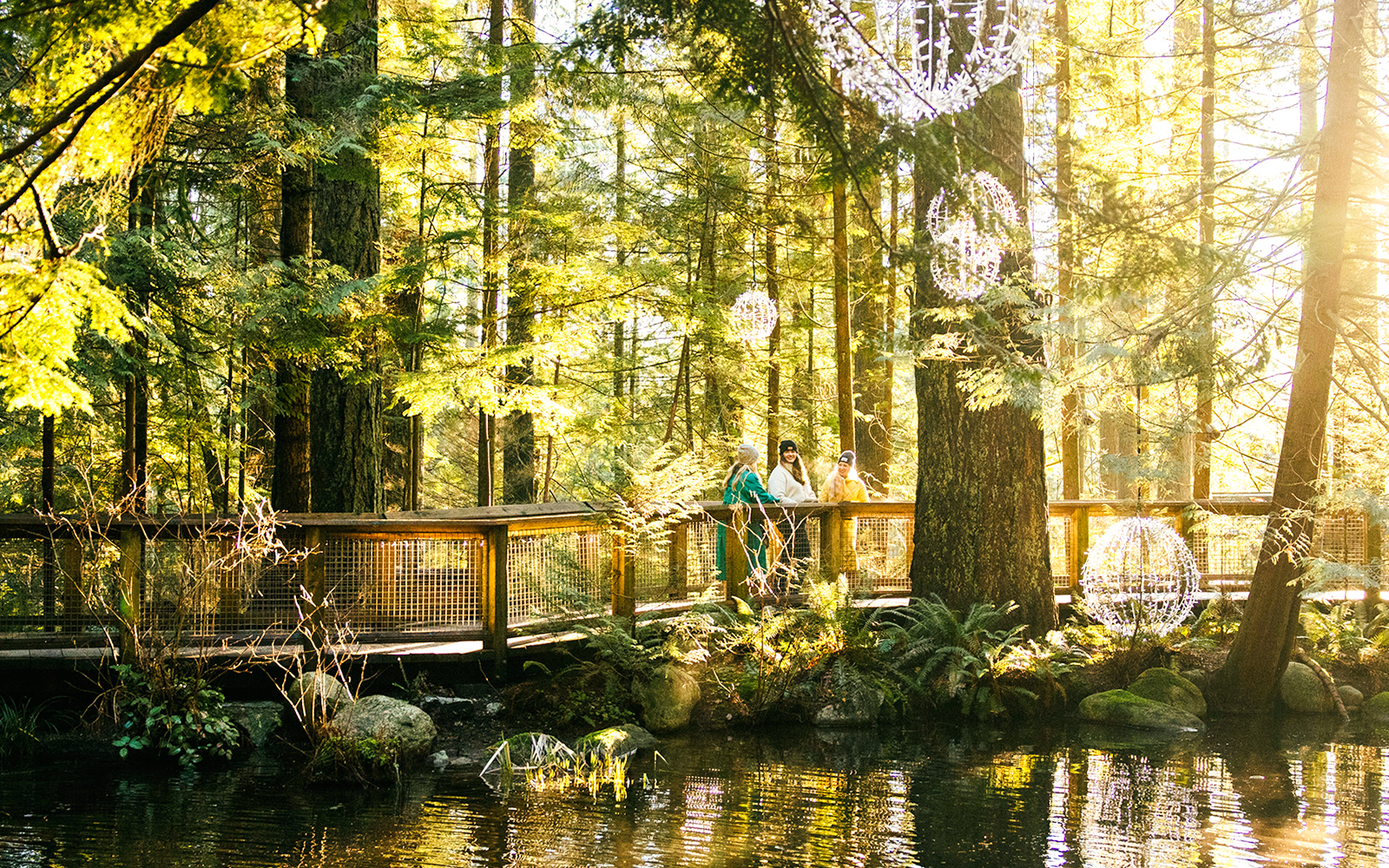 Visitors on a walkway surrounded by trees at Capilano Suspension Bridge Park.