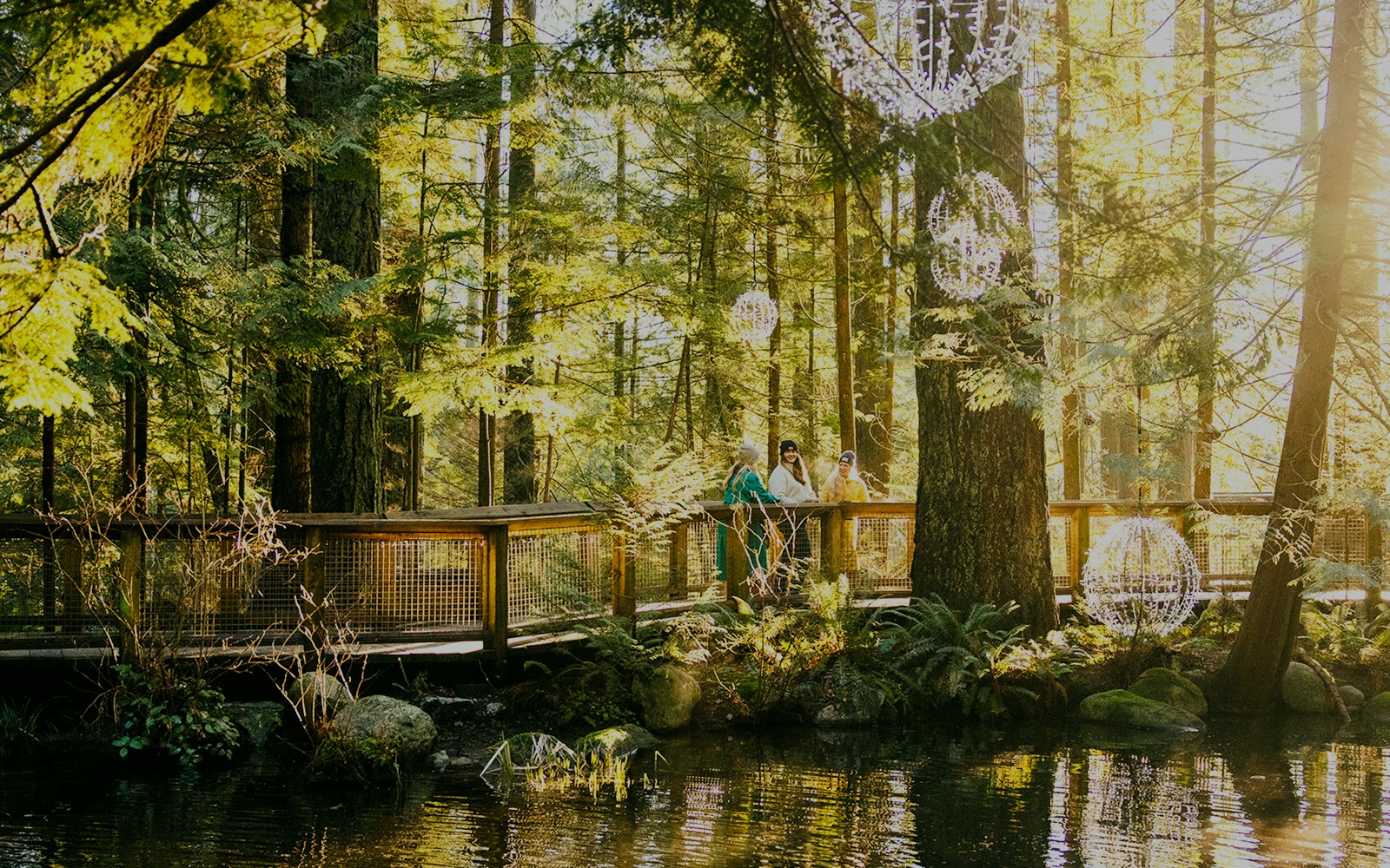 Visitors on a walkway surrounded by trees at Capilano Suspension Bridge Park.
