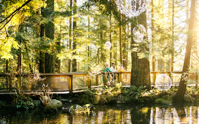 Visitors on a walkway surrounded by trees at Capilano Suspension Bridge Park.