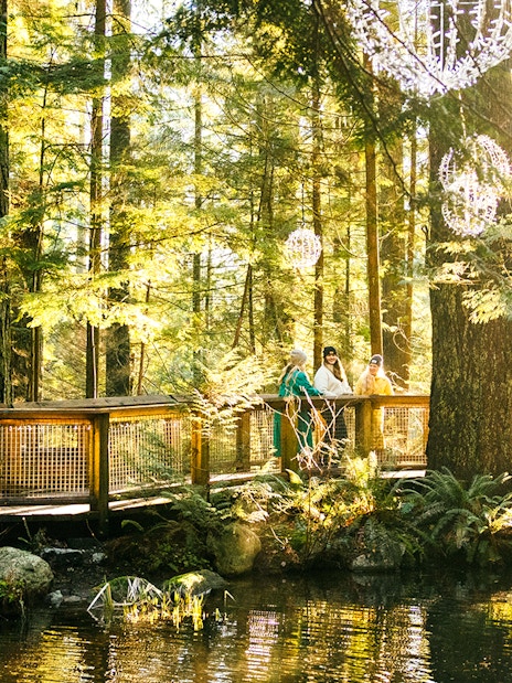 Visitors on a walkway surrounded by trees at Capilano Suspension Bridge Park.