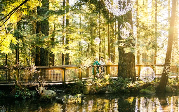 Visitors on a walkway surrounded by trees at Capilano Suspension Bridge Park.