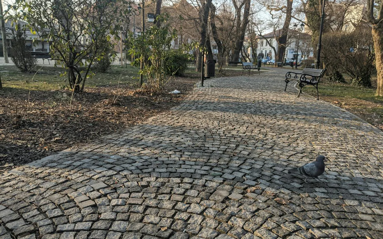 Cobblestone path in a Bucharest park with benches and trees, part of the self-guided city exploration game.