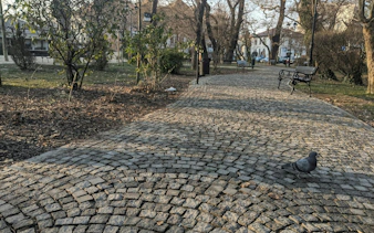 Cobblestone path in a Bucharest park with benches and trees, part of the self-guided city exploration game.