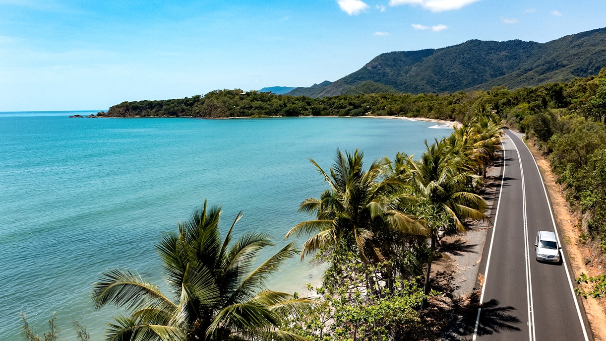 Coastal road with car near Cairns, Australia, lined with palm trees and ocean view.