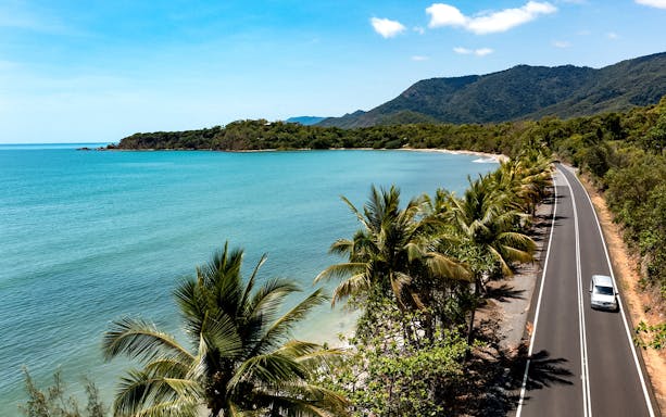 Coastal road with car near Cairns, Australia, lined with palm trees and ocean view.