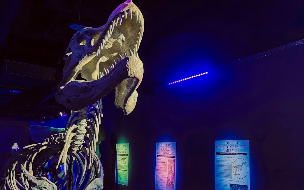 Dinosaur skeleton exhibit with informational panels at immersive VR museum experience.