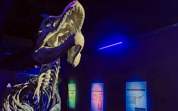Dinosaur skeleton exhibit with informational panels at immersive VR museum experience.